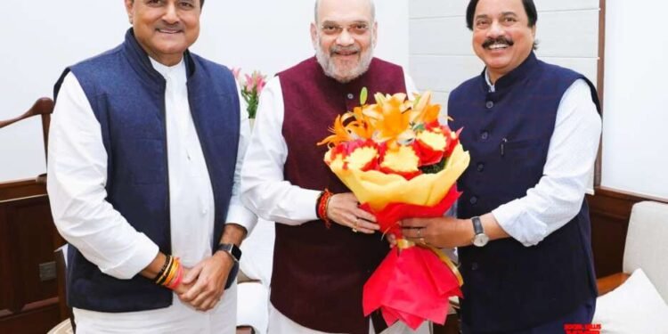 राष्ट्रवादीच्या नेत्यांनी घेतली मोदी,शहांची भेट