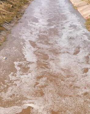 कालव्यात पाणी आल्याने शेतकऱ्यांमध्ये आनंदाचे वातावरण