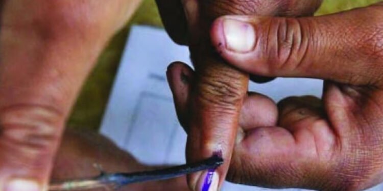 अमरावती जिल्ह्यात दुपारी ३ वाजेपर्यंतसरासरी ४५. १३ टक्के मतदान