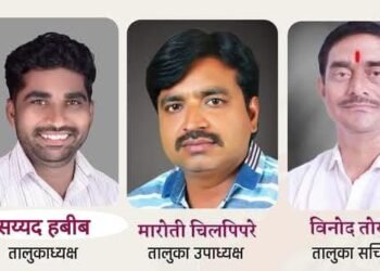 व्हॉइस ऑफ मिडियाची कार्यकारणी जाहीर