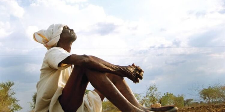 बळीराजाची पुन्हा एकदा परीक्षा; पावसाने दांडी मारल्याने खरीप हंगाम संकटात