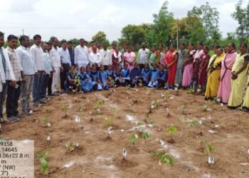 ‘हरित धाराशिव’ मोहिमेला उत्स्फूर्त प्रतिसाद; ग्रामपंचायतीकडून ३१०० झाडांची लागवड