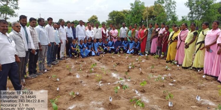 ‘हरित धाराशिव’ मोहिमेला उत्स्फूर्त प्रतिसाद; ग्रामपंचायतीकडून ३१०० झाडांची लागवड