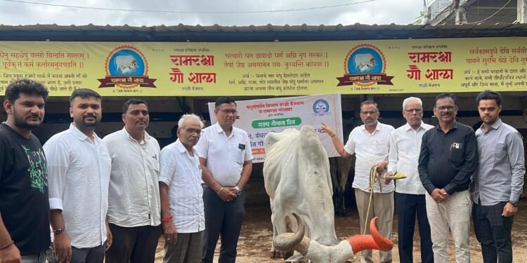 ‘शुद्ध देशी गोवंशाचं जतन महत्त्वाचं’: गोपालदासजी कोठारी