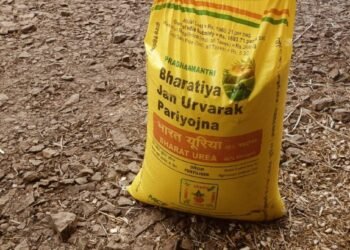 खतासाठी हवालदिल शेतकरी,युरियाचे दर गगनाले भिडले; प्रशासनाचे डोळेझाक धोरण!