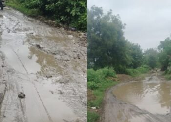 श्रीक्षेत्र वालसा वडाळा रस्त्याची दुरवस्था; खड्ड्यांमुळे अपघात, जीवितधोक्याची शक्यता