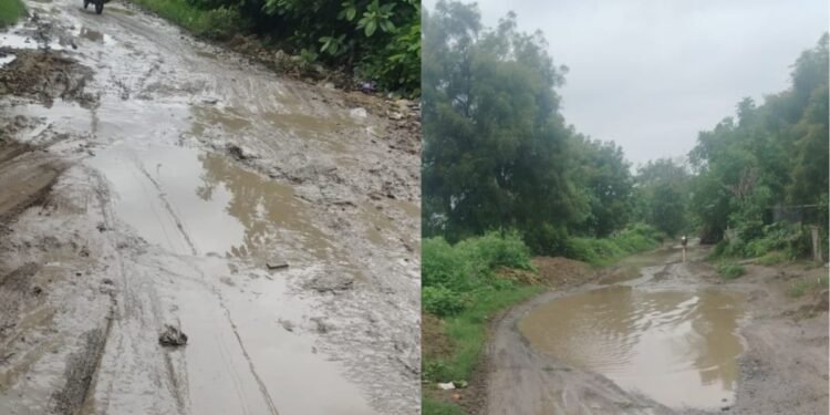 श्रीक्षेत्र वालसा वडाळा रस्त्याची दुरवस्था; खड्ड्यांमुळे अपघात, जीवितधोक्याची शक्यता