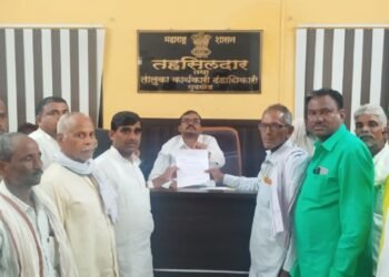 तलाव फुटल्याने शेतकऱ्यांच्या पिकांचे नुकसान; शासनाकडून पिकांची नुकसान भरपाई मिळावी शेतकऱ्यांची मागणी