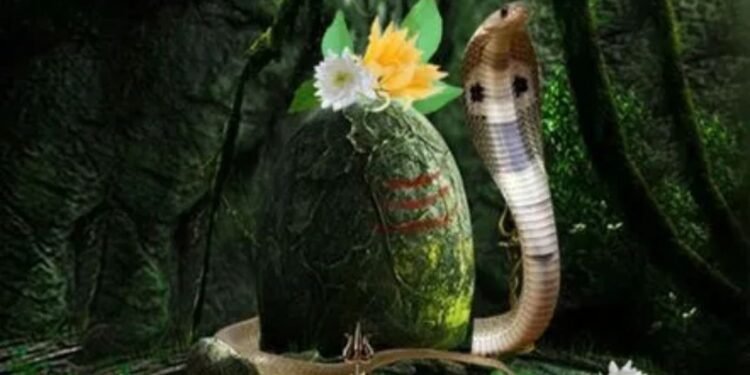 नागपंचमीच्या पूर्वसंध्येला सर्पदंशाच्या ४ घटना; नागरिकांमध्ये भीतीचे वातावरण!