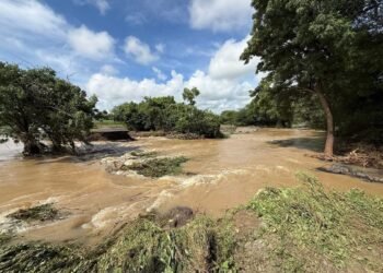 वाशी तालुक्यात पावसाचा हाहाकार! नुकसान भरपाई देण्याची शेतकऱ्यांची मागणी