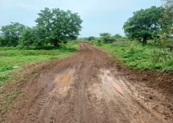 टाटा पवनचक्की कंपनीचे वनविभागाच्या राखीव जंगलावर अतिक्रमण; रस्ता व झाडांची बेकायदेशीर कत्तल, कारवाईच्या प्रतीक्षेत