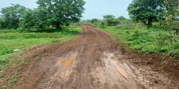 टाटा पवनचक्की कंपनीचे वनविभागाच्या राखीव जंगलावर अतिक्रमण; रस्ता व झाडांची बेकायदेशीर कत्तल, कारवाईच्या प्रतीक्षेत