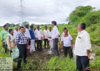 वाशी तालुक्यात पावसाचे थैमान!तहसीलदार कृषी अधिकारी थेट शेतकऱ्यांच्या शेतात