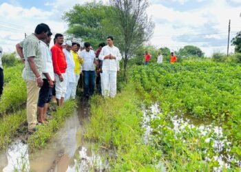 बदनापूर तालुक्यात अतिवृष्टीमुळे शेतकऱ्यांचे प्रचंड नुकसान!