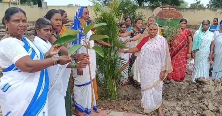 पिंपळगाव रेणुकाई येथे वृक्षारोपण; महिलांचा उत्स्फूर्त सहभाग