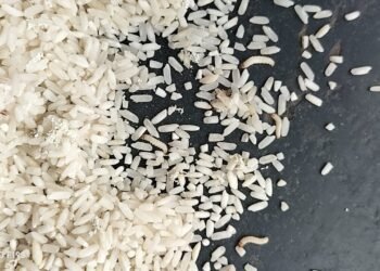 नांदेड : दाभड येथे स्वस्त धान्य दुकानातून निकृष्ट तांदूळ वाटप; नागरिक संतप्त