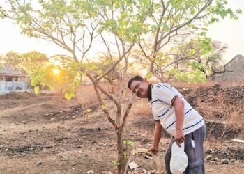 निसर्गवेड्याचा ‘ध्यास’ अन् रोड झाला ‘झळाळता’ हिरवागार!