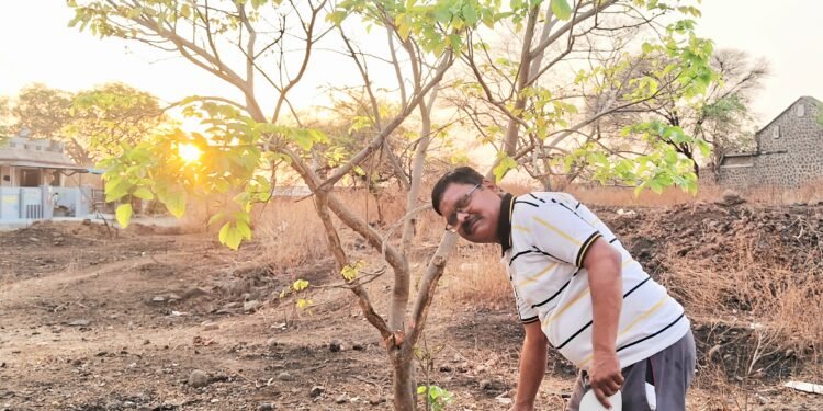 निसर्गवेड्याचा ‘ध्यास’ अन् रोड झाला ‘झळाळता’ हिरवागार!