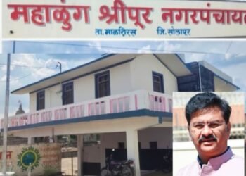 विधानसभेत नगरपंचायतीच्या दयनिय अवस्थेचा आ. पाटलांकडून पंचनामा