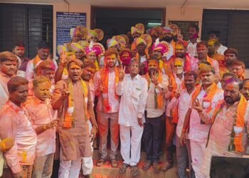 दक्षिण सोलापूर पंचायत समितीच्या सभापतीपदी संदीप टेळे, तर उपसभापतीपदी वर्षा पटणे