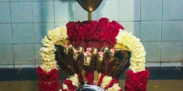 एक एप्रिल पासून मल्लिकार्जुन यात्रेस सुरुवात