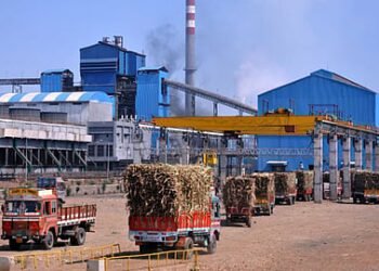 हंगामअखेर ऊस व तोडणी-वाहतूक बिल अदा करणारा विठ्ठलराव शिंदे कारखाना एकमेव – मा. आ. बबनराव शिंदे