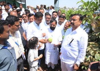 शेतकऱ्यांच्या बांधावर जाऊन फलोत्पादन मंत्री गोगावले यांच्याकडून पाहणी