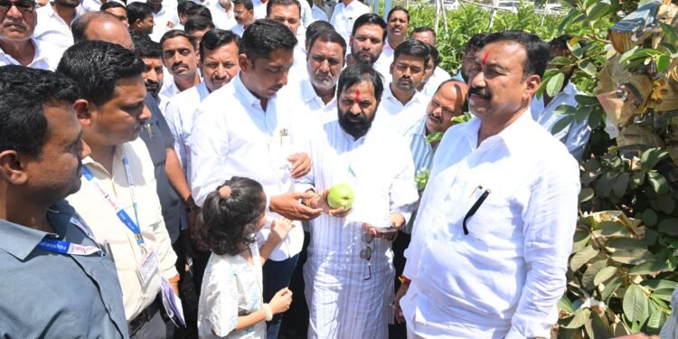 शेतकऱ्यांच्या बांधावर जाऊन फलोत्पादन मंत्री गोगावले यांच्याकडून पाहणी