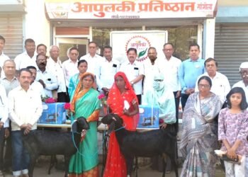 महिला दिनानिमित्त सांगोल्यातील आपुलकीकडून गरजू महिलांना उपजीविकेच्या वस्तूंचे वाटप