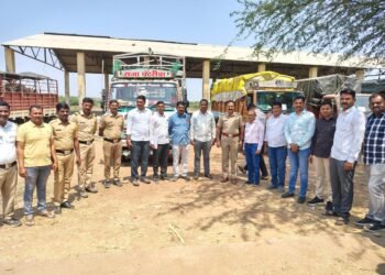 डांबून ठेवलेली ८५ गोवंश ताब्यात, अज्ञाता विरुध्द गुन्हा दाखल