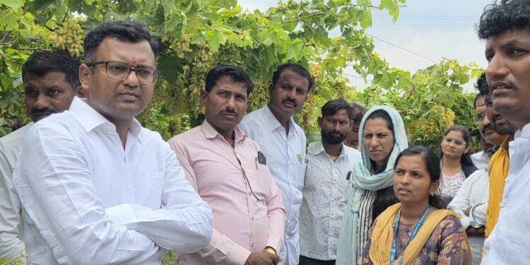 गारपिटीने फळबागांचे नुकसान; भरपाई देण्याची आ.डॉ.बाबासाहेब देशमुख यांची मागणी