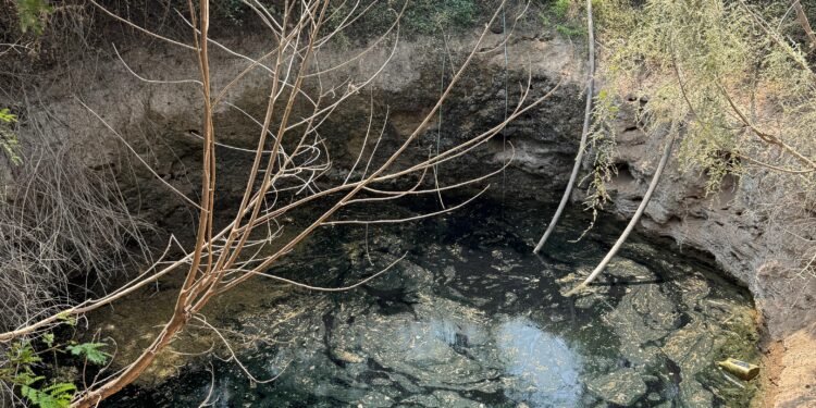 विहिरींमध्ये टाकले ऑईल व तणनाशकाचे औषध