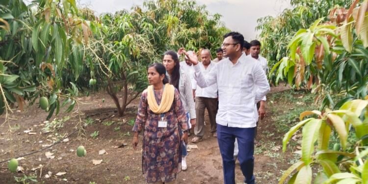 नुकसानग्रस्त झालेल्या पिकांची आ.बाबासाहेब देशमुख यांनी अधिकाऱ्यांसह पाहणी