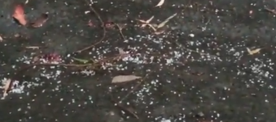 अकलूज परिसरात गारांसह अवकाळी पाऊस